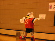 20090405-04.JPG