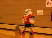 20090405-05.JPG