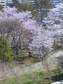 090504_1112~01.jpg