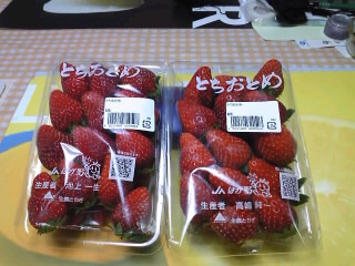 20090504-02.jpg