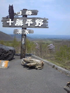 SH370812.jpg