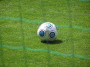 20090519-01.JPG