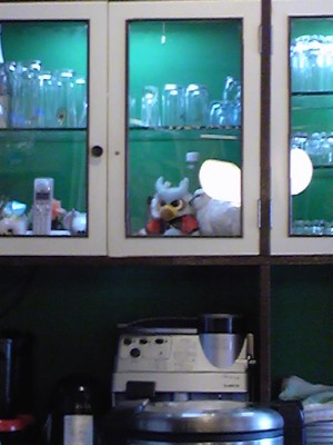 20090520-01.jpg