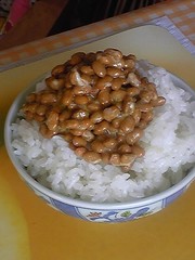 20090520-02.jpg