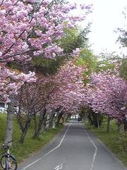 20090523-00.jpg