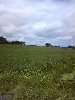 090609_1027~01.jpg