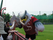 20090629-03.JPG
