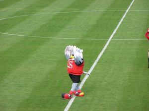 20090712-45.JPG