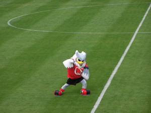 20090712-48.JPG