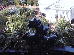 20091013-05.jpg