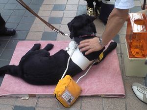20120722-01.jpg