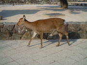 20121109-02.jpg