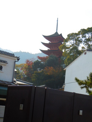 20121109-05.jpg