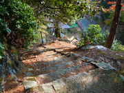 20121109-06.jpg