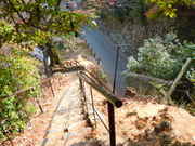 20121109-07.jpg