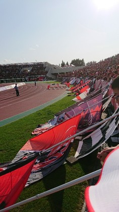 1503741834-DSC_0514.JPG