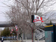 20090412-00.jpg