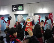 1365930196-00112010-B.jpg