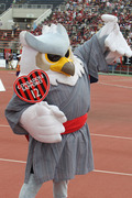 1376279407-00118453-B.jpg
