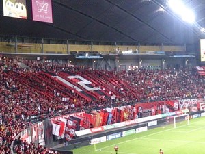 1466418834-DSC_0597.jpg
