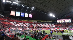 1520938860-DSC01776.JPG