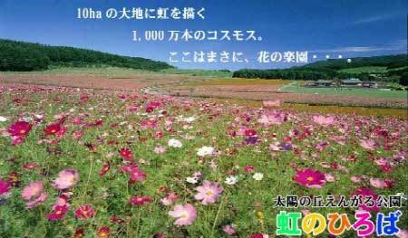 20070824-01.jpg