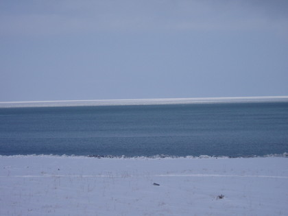 20080129-00.JPG