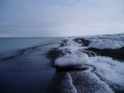 20080129-02.JPG