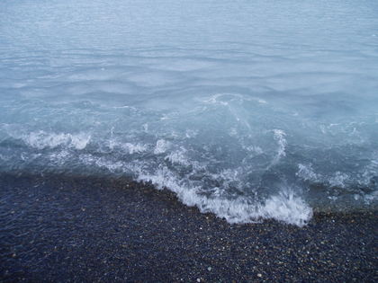 20080129-03.JPG