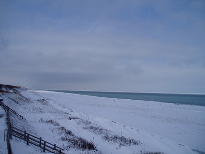 20080129-05.JPG