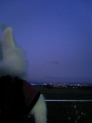 暗くなってきたなぁ