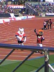コラボしてる☆