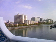 いい天気♪
