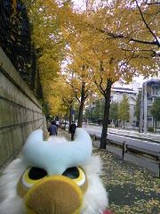 これのせい？？