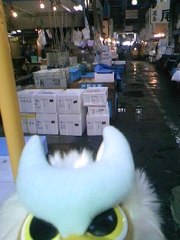 築地は広い～