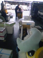 荷物を輸送します