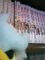 並べてニンマリ(^_^)