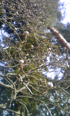 100320_0816~01.jpg