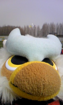 100321_1124~02.jpg
