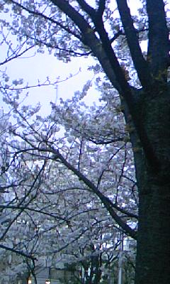 100401_1759~01.jpg