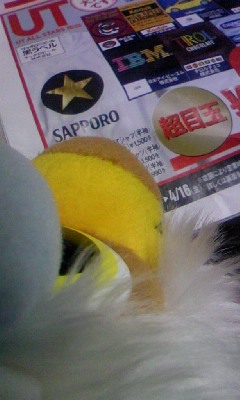 100410_2020~01.jpg