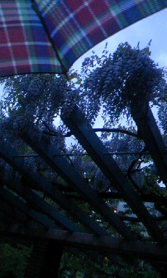 100427_1820~01.jpg