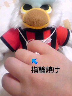 SH3F003100010001.jpg