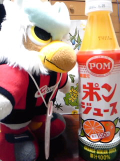 SH3F00350002.jpg