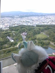 星だ～