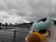 緑の島から
