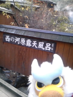 SH3F02900001.jpg