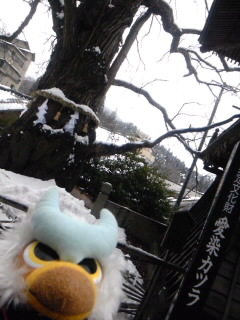 SH3F03720001.jpg