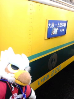 SH3F04010001.jpg