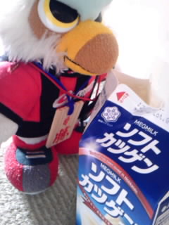 SH3F04270001.jpg